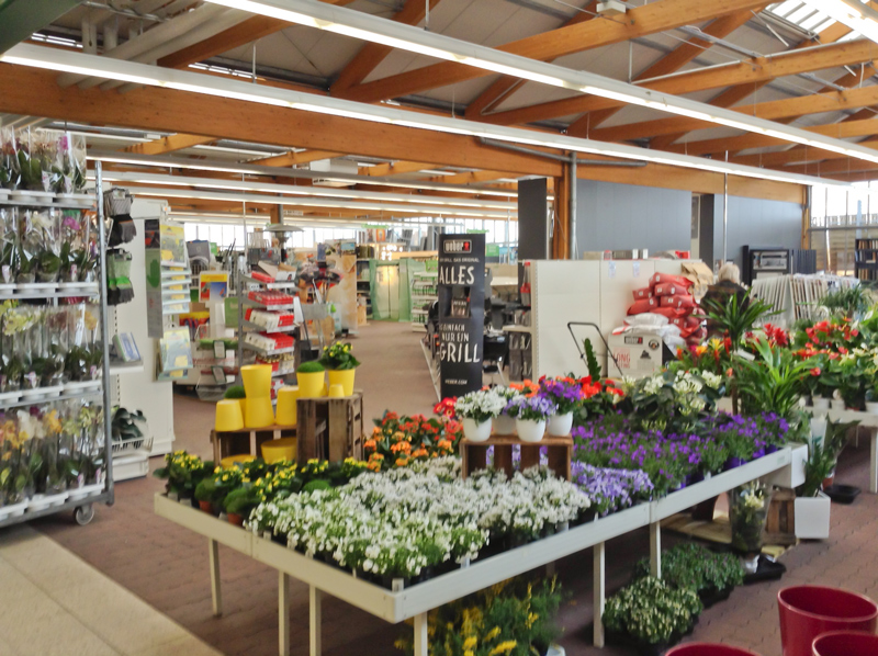 Bau- und Gartenmarkt Bayern - Pflanzen